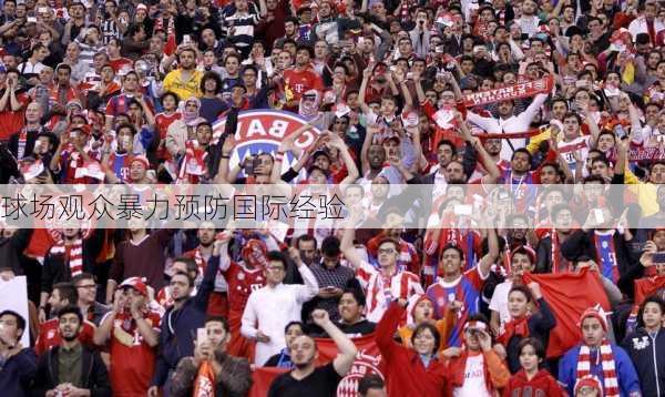 球场观众暴力预防国际经验