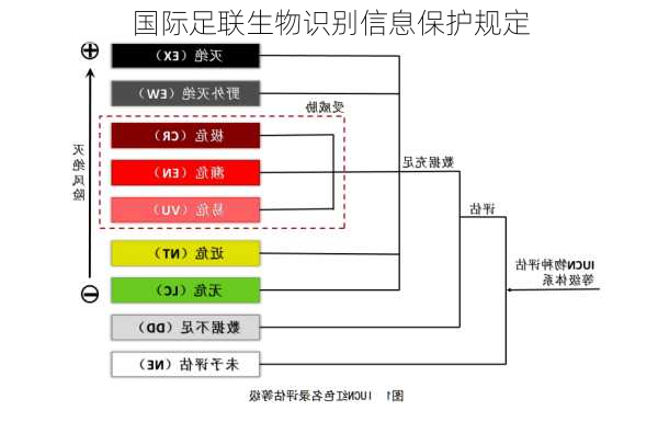 国际足联生物识别信息保护规定