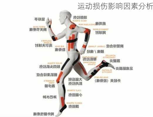 运动损伤影响因素分析