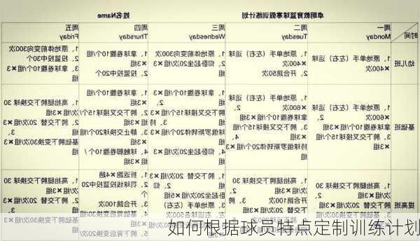 如何根据球员特点定制训练计划