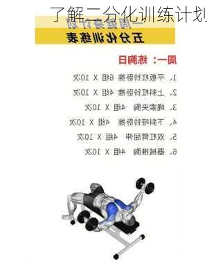 了解二分化训练计划
