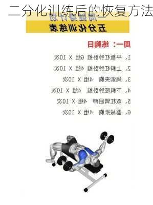 二分化训练后的恢复方法