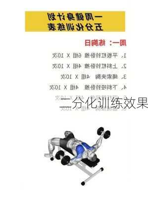 二分化训练效果