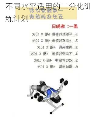 不同水平适用的二分化训练计划