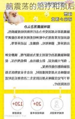 脑震荡的治疗和预后