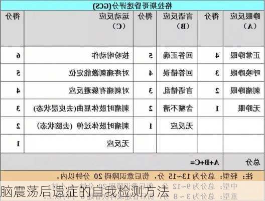 脑震荡后遗症的自我检测方法