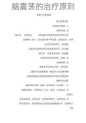 脑震荡的治疗原则