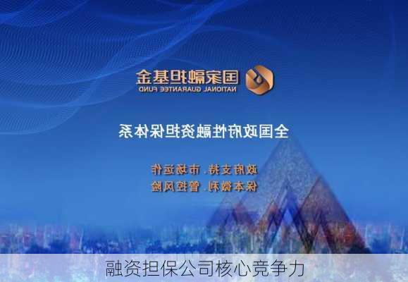 融资担保公司核心竞争力
