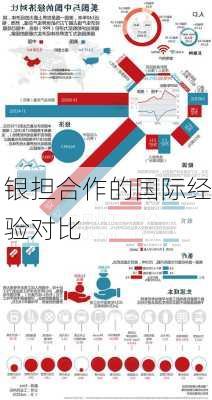 银担合作的国际经验对比