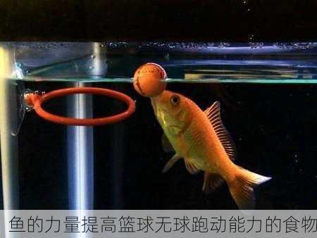 鱼的力量提高篮球无球跑动能力的食物