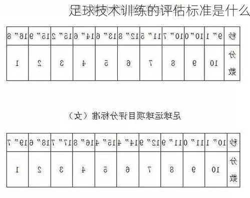 足球技术训练的评估标准是什么