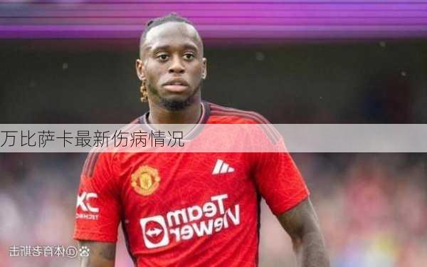 万比萨卡最新伤病情况