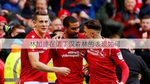 林加德在诺丁汉森林的表现如何