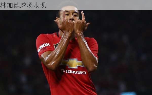 林加德球场表现