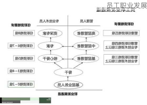 员工职业发展