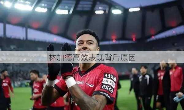 林加德高效表现背后原因