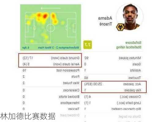 林加德比赛数据