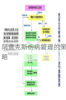 阿贾克斯伤病管理的策略