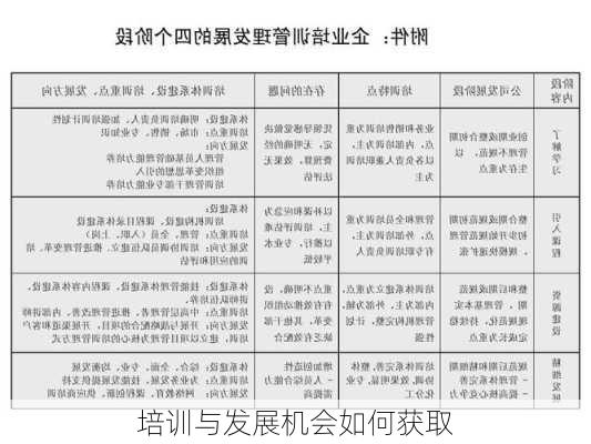 培训与发展机会如何获取