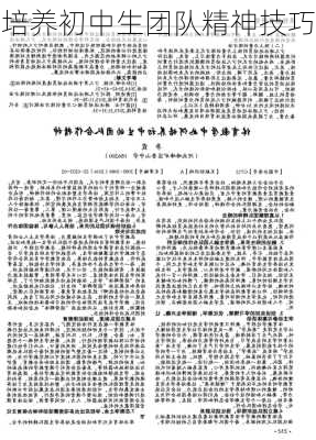培养初中生团队精神技巧