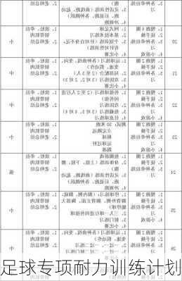 足球专项耐力训练计划