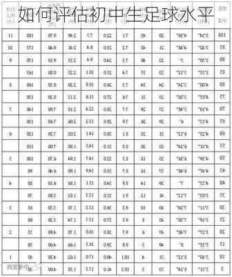 如何评估初中生足球水平