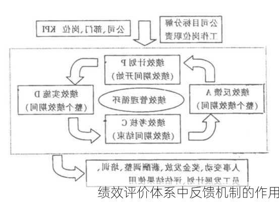 绩效评价体系中反馈机制的作用