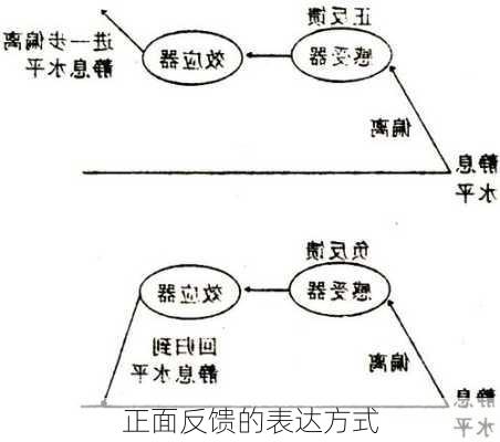 正面反馈的表达方式