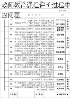教师教育课程评价过程中的问题