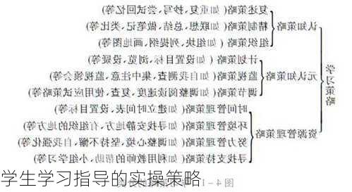 学生学习指导的实操策略