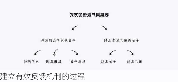 建立有效反馈机制的过程