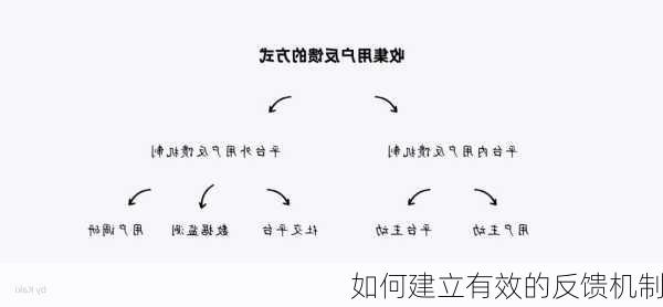 如何建立有效的反馈机制
