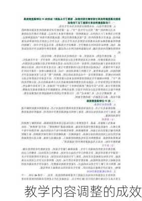 教学内容调整的成效