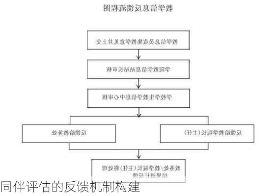 同伴评估的反馈机制构建