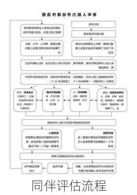 同伴评估流程