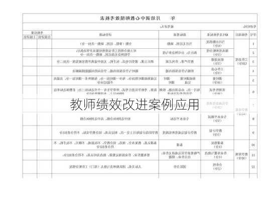 教师绩效改进案例应用