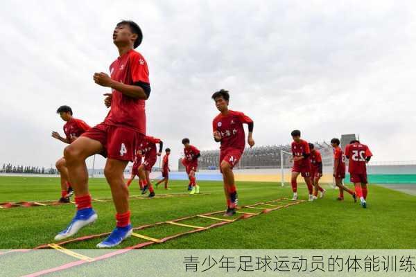 青少年足球运动员的体能训练