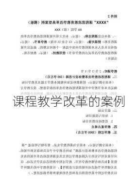 课程教学改革的案例