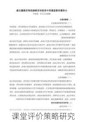课堂评价策略研究