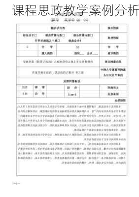 课程思政教学案例分析
