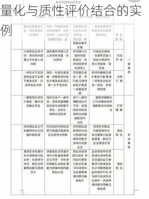 量化与质性评价结合的实例