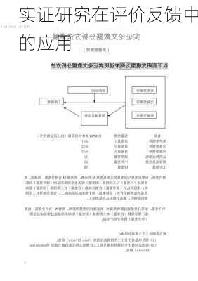 实证研究在评价反馈中的应用
