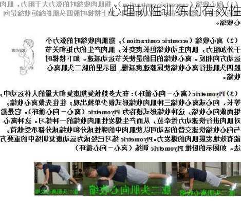 心理韧性训练的有效性