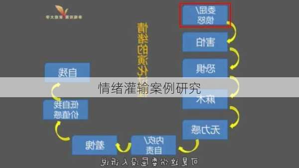 情绪灌输案例研究