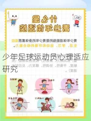 少年足球运动员心理适应研究