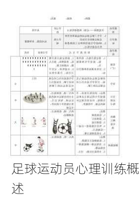 足球运动员心理训练概述