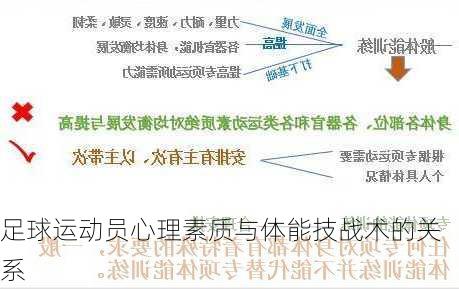 足球运动员心理素质与体能技战术的关系