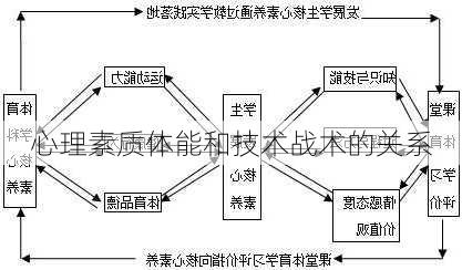 心理素质体能和技术战术的关系