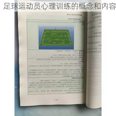 足球运动员心理训练的概念和内容