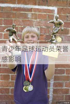 青少年足球运动员荣誉感影响